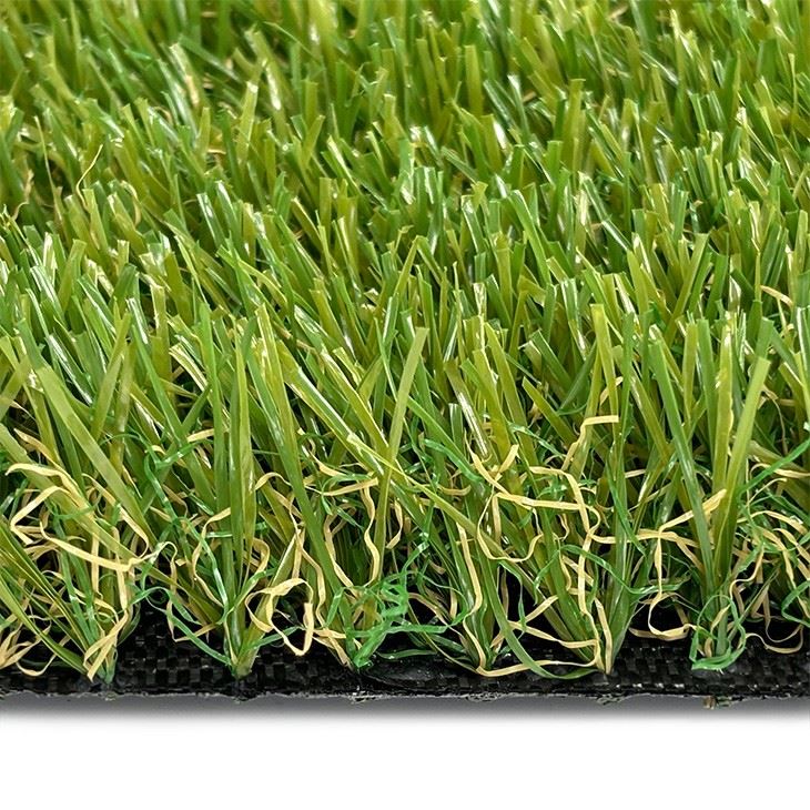 Landscaping Turf Grass