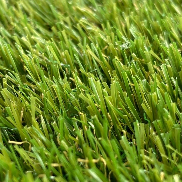 Landscaping Turf Grass