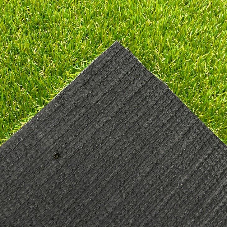 Landscaping Turf Grass